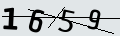 verifycode